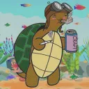 Tipsy Turtles