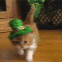 coleslaw Discord server icon