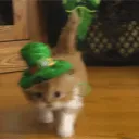 coleslaw Discord Server Icon