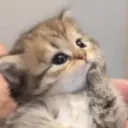 Nak