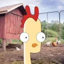 THE CHOOK PEN