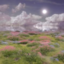 ꒰🌸・Alureia's Garden