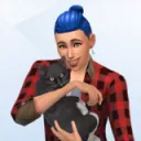 IlexSims