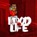 Hoodlife Combat