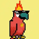 Solana Birbs