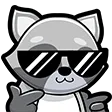 RACCOON GANG