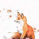FoxBurn Server Icon
