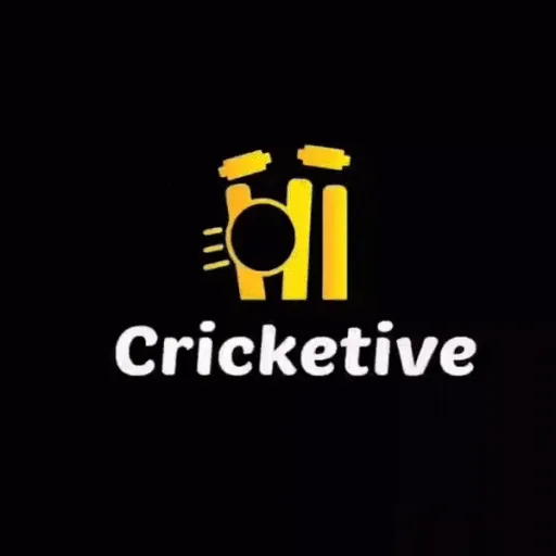 Cricketive — мониторинг Discord сервера, статистика и рейтинг
