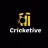 Cricketive Discord server icon