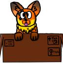 Corgus' Cardboard Box Discord Server Icon