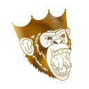 ApesWinApes