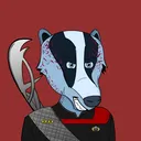 Badger Galaxy