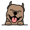 pit bulls