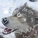 Wolf Den  Discord Server Icon