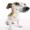 Leak 0nlyfan