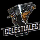 CΣLΣSTIΛLΣS | NETWORK