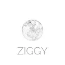 Ziggy Server