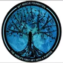 NFT Rescue Foundation Inc.