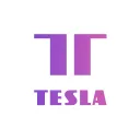 TESLA Token