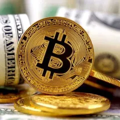 ارز دیجیتال سیگنال Icon
