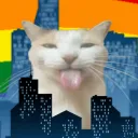 New Gay City [NGC]