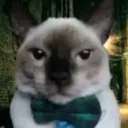 🎀 E U ᕋ H O Я I A 🎀's icon