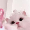 inkipinkiponki Discord Server Icon