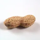 Kulit_kaCAng