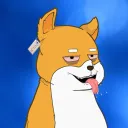 The Shiba Project