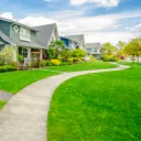 the neighborhood