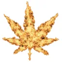 WEED COMMUNITY