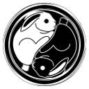 The Collective Solution : International Discord Server Icon