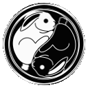 The Collective Solution : International