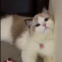 nana’s server