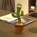 Dancing Cactus Server 🌵