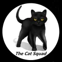 🐱 𝙏𝙝𝙚 𝘾𝙖𝙩 𝙎𝙦𝙪𝙖𝙙