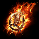 Hunger Games Fictives