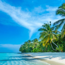 모험가의 길드 Discord server icon