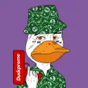 One Buck Ducks