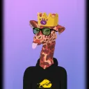 Party Giraffes