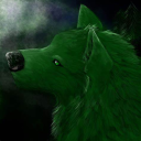 💚GreenWolfTeam💚