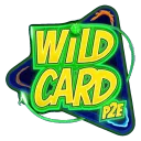 Wildcard
