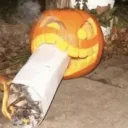 DANK MEMERS