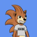 HedgeFund Hedgehogs