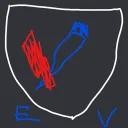 Emory Valorant