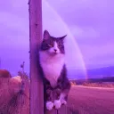 you're valid