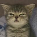   HANGOUT   Discord Server Icon