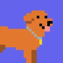 Dank Doggies