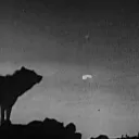HOWLING EARTH RP
