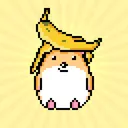 Fluffy Hamsters